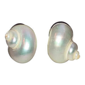 Betsy Fuller 14 Kt Sterling Sea Shell Earrings